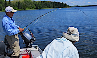 Doug Fly-Fishing In Action at Fireside Lodge in Canada